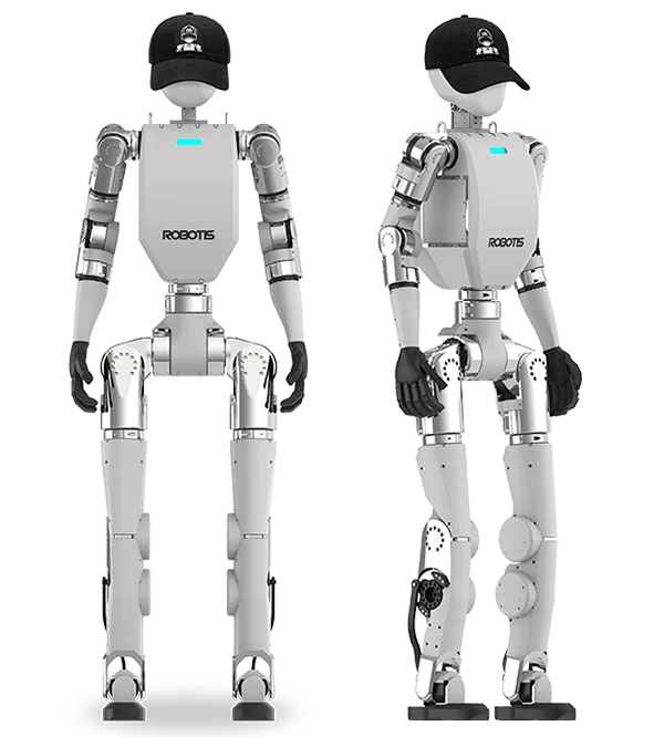 AI Sapiens · AI Sapiens 공식 제품 모습